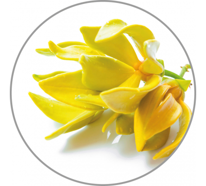 Aroma-Essense Lemon 10 mml   
